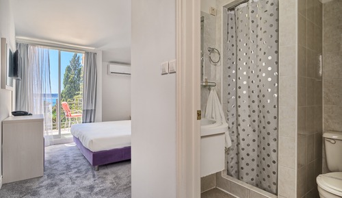 Habitación estándar con 1 cama doble o 2 individuales