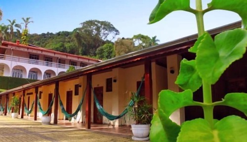 Suite estudio estándar