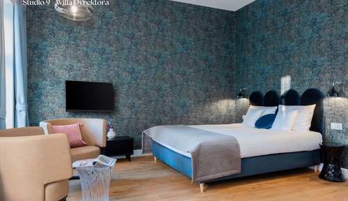 Apartament typu Deluxe Studio - Willa