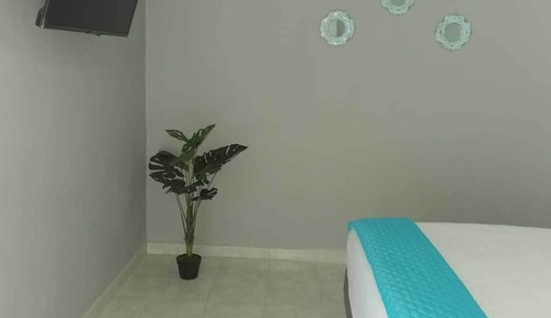 Apartamento Confort (#9)