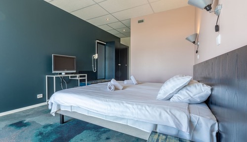 Habitación estándar con 1 cama doble o 2 individuales