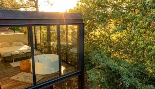 Casa Deluxe en un árbol
