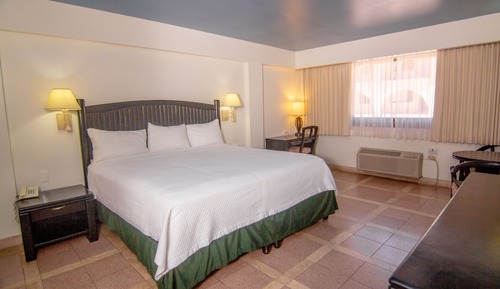 Habitación individual ejecutiva, 1 cama de matrimonio grande