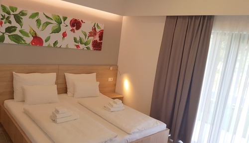 Habitación Deluxe con 1 cama doble o 2 individuales