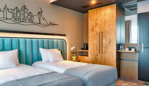 Habitación clásica con 2 camas individuales