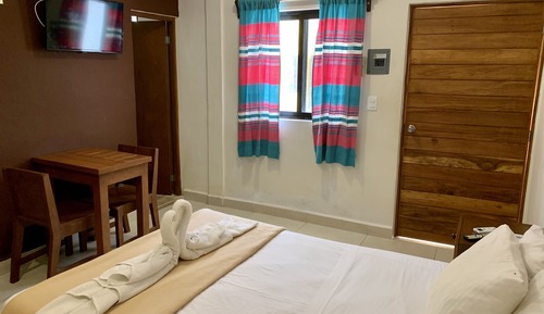 Suite estudio Confort