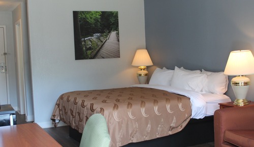Habitación estándar, 1 cama de matrimonio grande, no fumadores