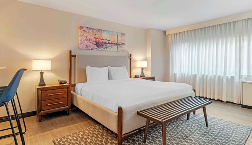 Habitación estándar, 1 cama de matrimonio grande, no fumadores