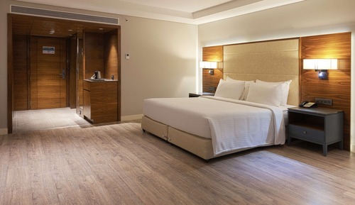 Suite ejecutiva, no fumadores