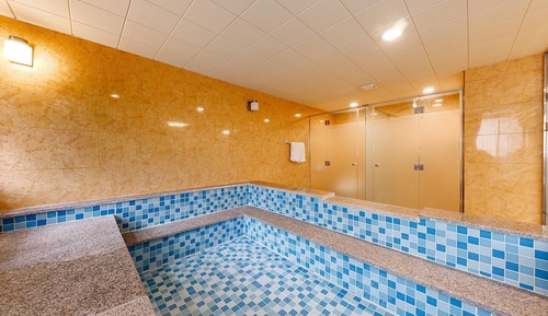 Room (*Family bath - Spa Executive Special )