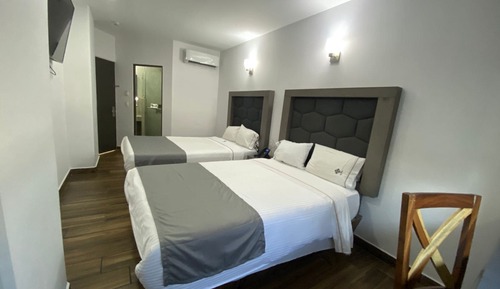 Habitación estándar doble, 2 camas dobles