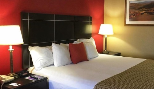 Habitación individual Deluxe
