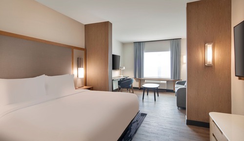 Suite estudio ejecutiva, 1 cama de matrimonio grande con sofá cama