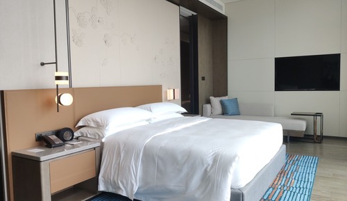 Suite ejecutiva, 1 cama de matrimonio grande, vistas a la ciudad