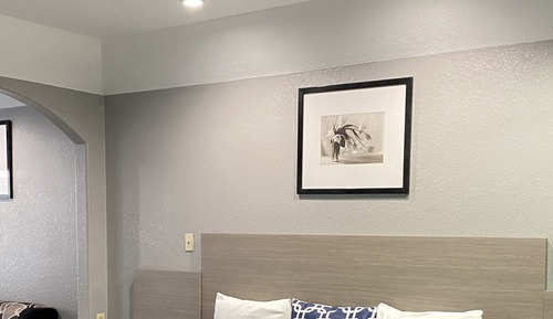 Habitación individual ejecutiva