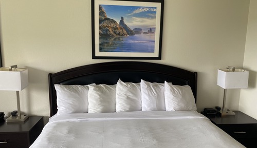 Habitación estándar, 1 cama de matrimonio grande (Pet Friendly)