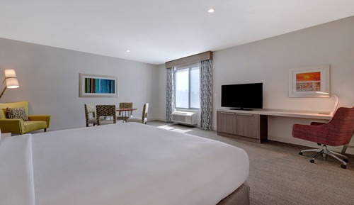 Suite, 1 Bedroom, 1 King Bed and Sofa Bed, Accessible (3x3 Shower)