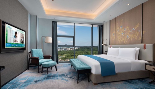 Suite ejecutiva, 1 cama de matrimonio grande