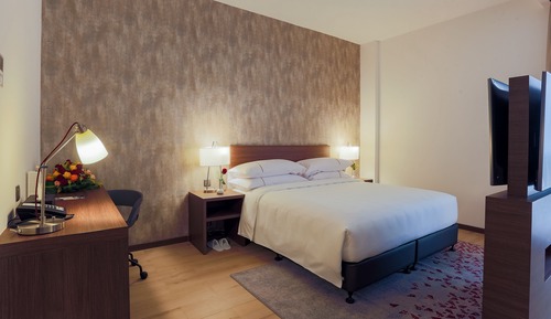 Suite estudio, 1 cama de matrimonio grande con sofá cama (Efficiency)