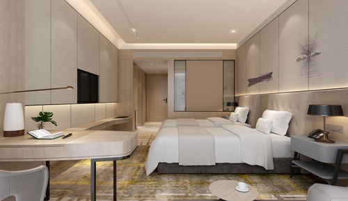 Habitación Business con 2 camas individuales, varias camas
