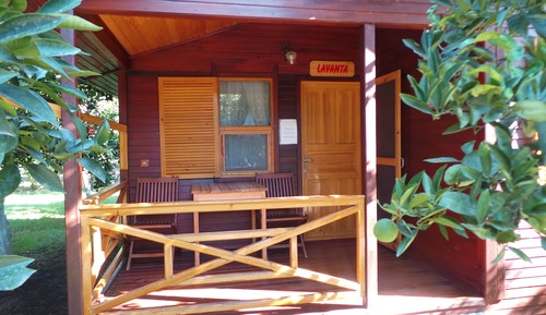 Casa en un árbol (Bungalov)
