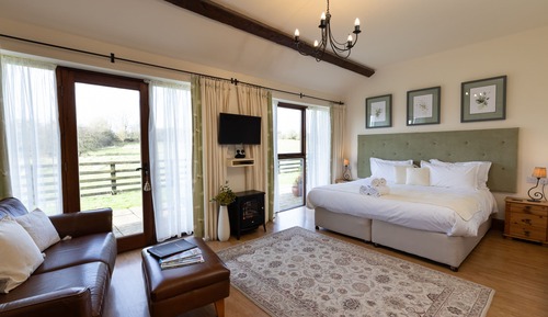 Habitación Deluxe con 1 cama doble o 2 individuales, baño privado