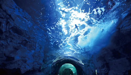 [Fun Fun Aquaplanet PKG] Superior Premium Family Twin - Breakfast + Aqua planet Ticket for 4