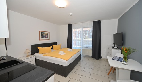 Estudio, 1 cama doble, vistas al puerto