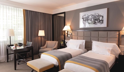 Habitación Deluxe con 2 camas individuales