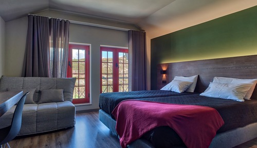 Habitación básica con 2 camas individuales (106)