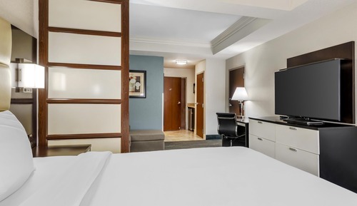 Suite, 1 cama de matrimonio grande, no fumadores (Pet Friendly;with Sofabed)