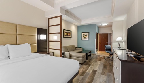 Suite, 1 cama de matrimonio grande, no fumadores, bañera de hidromasaje (with Sofabed)