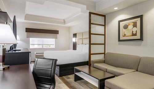 Suite, 1 cama de matrimonio grande, no fumadores, frigorífico y microondas (with Sofabed)