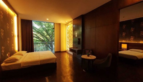 Suite Business, vistas al jardín