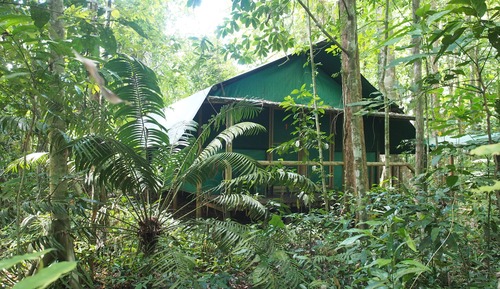 Casa económica en un árbol, 1 cama doble