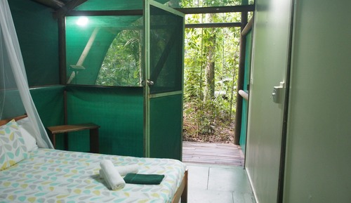 Casa en un árbol, baño privado (Tropical Cabin)