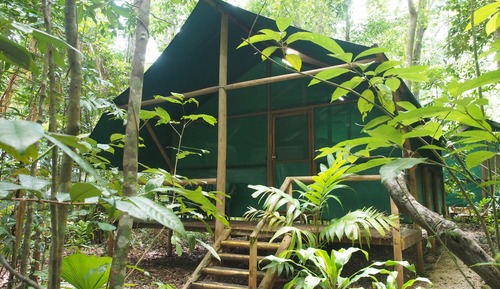 Casa económica en un árbol, 2 camas individuales