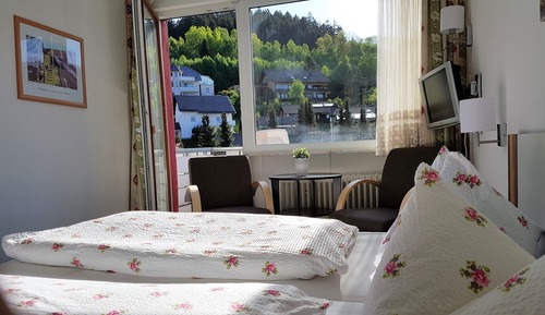 Habitación básica doble, 1 cama de matrimonio, vistas a la montaña, junto a la montaña