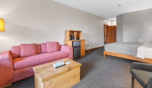 Suite (No Pets, No Kids)