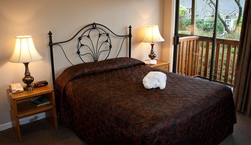 Habitación estándar, 1 cama de matrimonio (Not Pet Friendly)