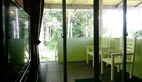 Jungle Mountain Room