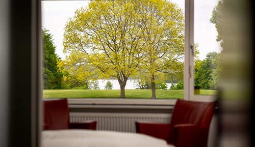 Habitación estándar doble, vistas al lago