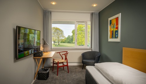 Habitación individual, vistas al lago