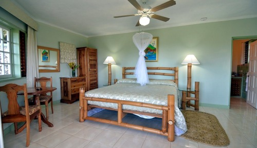 Habitación Deluxe, 1 cama de matrimonio grande, terraza, vistas al jardín