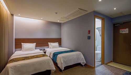 Habitación Deluxe con 2 camas individuales