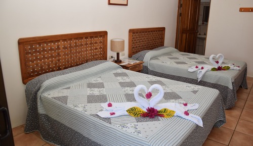 Habitación estándar doble, 1 habitación, vistas al jardín