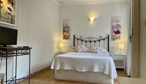 Habitación clásica con 1 cama doble o 2 individuales, terraza