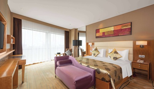 Suite ejecutiva, 1 cama de matrimonio grande, fumadores, vistas al jardín