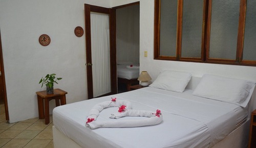 Estudio junior, 1 habitación