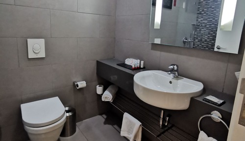 Habitación Deluxe con 2 camas individuales